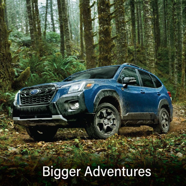 A blue Subaru outback wilderness with the words “Bigger Adventures“. | Neil Huffman Subaru in Louisville KY